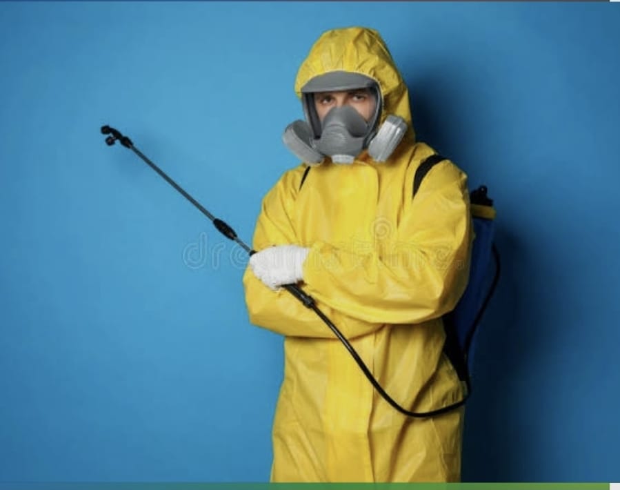 Servicio de fumigación y control de plagas